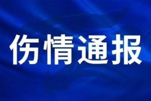 赛程安排-《伤情通报》
